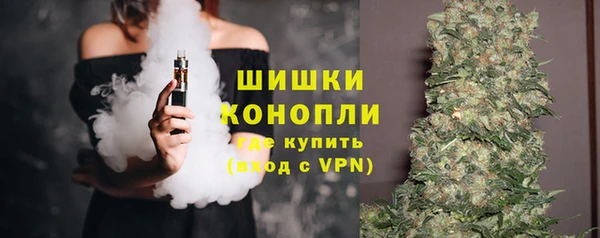 мдпв Лагань