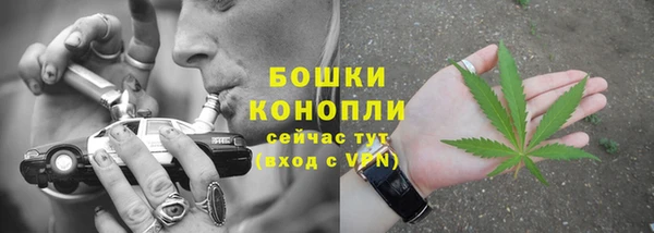 трава Ладушкин