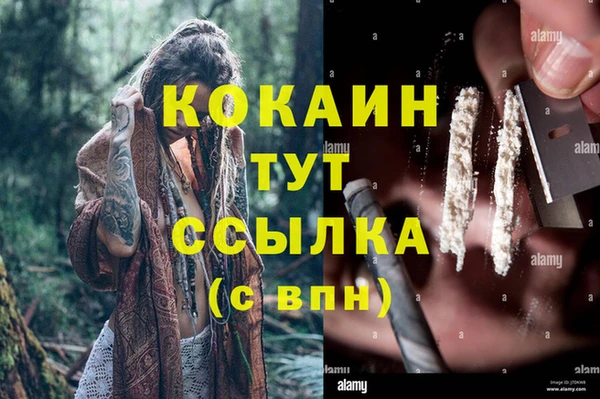 мдпв Лагань