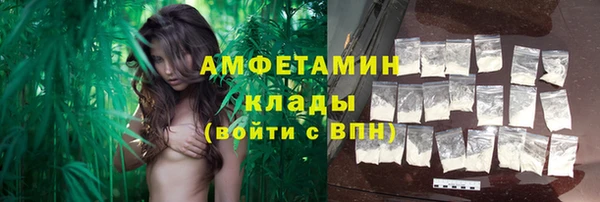 мдпв Лагань