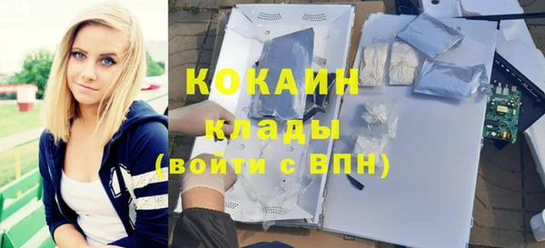 мдпв Лагань