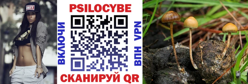 Купить где  Валуйки  Псилоцибиновые грибы мицелий 